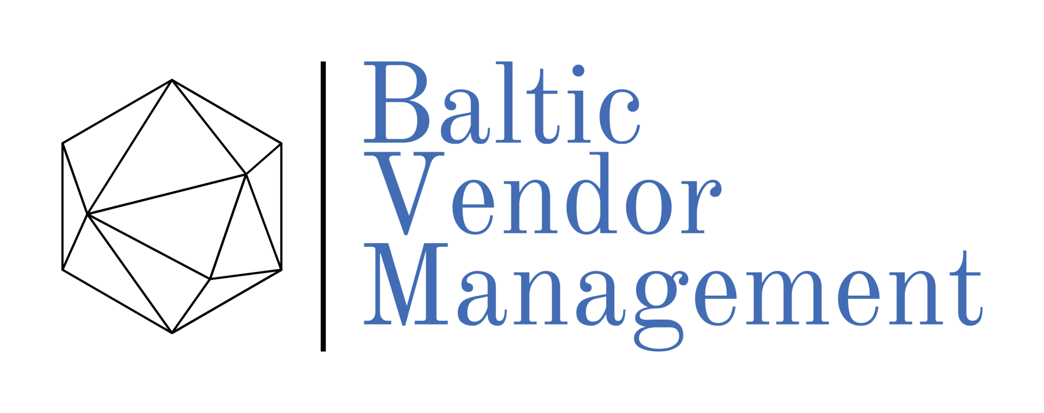 Baltic Vendor Management logo